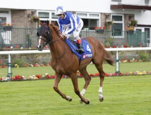 20J0141 Fantastic Fox