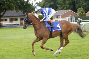 20J0145 Fantastic Fox