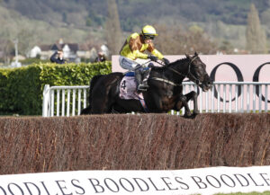 20J0381 Galopin Des Champs