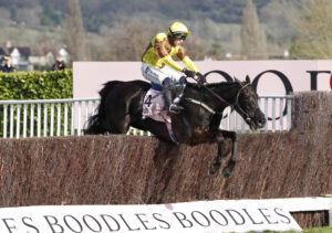 20J0382 Galopin Des Champs