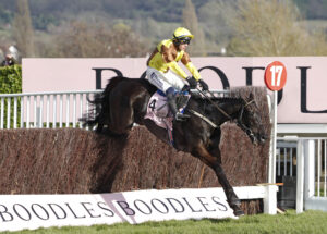 20J0383 Galopin Des Champs