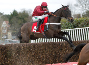 20J5253 Mister Coffey