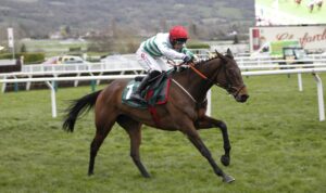 20J7660 The Yellow Clay