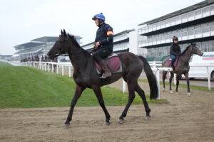 BK1A9790 Galopin Des Champs