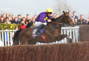 C16B8584 Lord Windermere