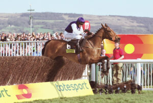 R001 019 Kicking King