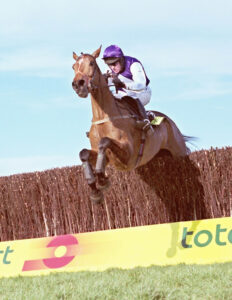 R001 020 Kicking King