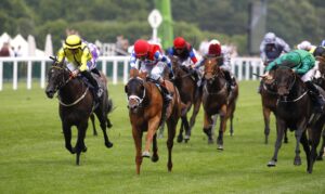 X5B1857 Crimson Advocate