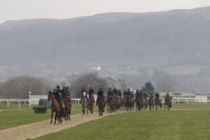 X5B6027 Willie Mullins string