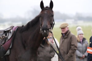 X5B6069 Galopin Des Champs