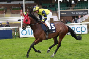 X5B7169 Whip Cracker