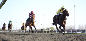 16B3687 Viamarie