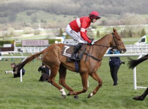 20J0228 High Class Hero