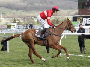 20J0229 High Class Hero