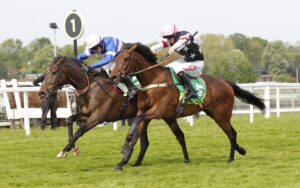 20J0452 Blueking D’Oroux
