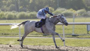 20J0793 Crown’s Lady