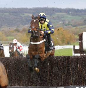 20J0880 Surrey Quest