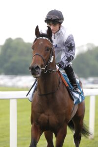 20J1220 Yah Mo Be There