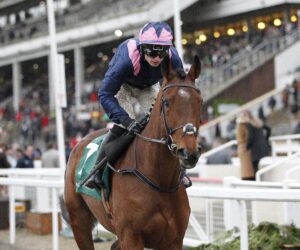 20J3025 Chosen Witness