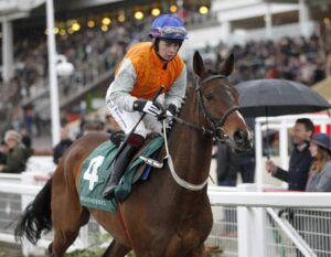 20J3093 Captain Cody