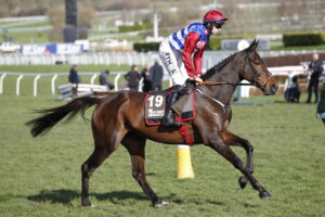 20J4341 Three Card Brag