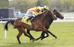 20J4551 Divina Grace