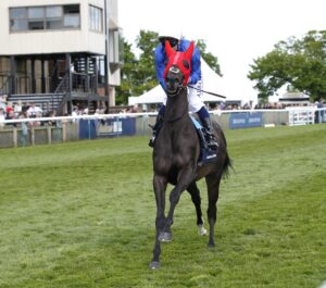 20J8095 Cinderella’s Dream