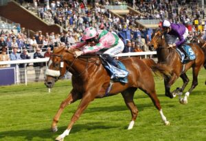 78F8451 Mon Na Slieve