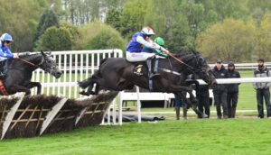 DSC 0195 Elusiveness