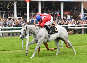 DSC 0414 Maelstrom