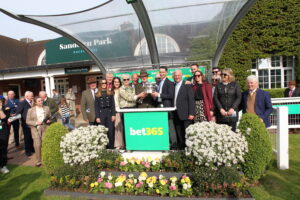 FU0E3958 Willie Mullins Stable