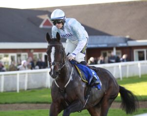 X5B5887 The Kniphand