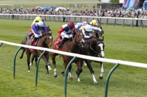 20J1406 Story Horse