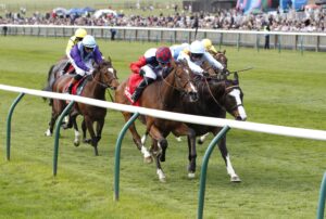 20J1407 Story Horse
