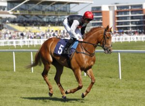 20J4341 Queen Of Thieves