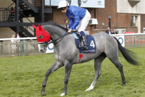 20J8253 Symbol Of Honour