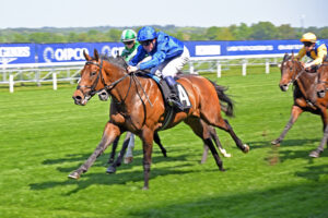 250430 0597 Wise Approach
