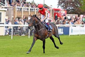 250504 0318 Gold Cup Day
