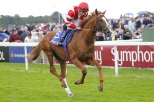 78F9597 King’s Gambit