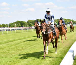 DSC 0146 Footwork