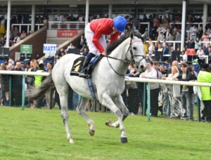 DSC 0411 Maelstrom