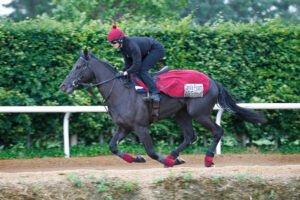 20J5314 Camille Pissarro