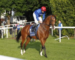 20J5842 Ombudsman