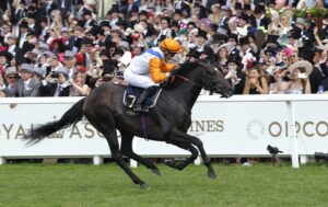 20J9536 Noble Champion
