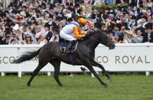 20J9537 Noble Champion