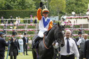 20J9583 Noble Champion