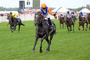 250621 0384 Noble Champion