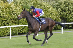 78F9238 Reaching High