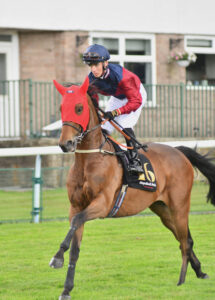 DSC 0012 Galyx