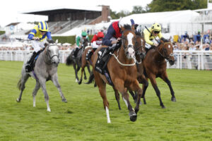 20J3147 Lady Iman